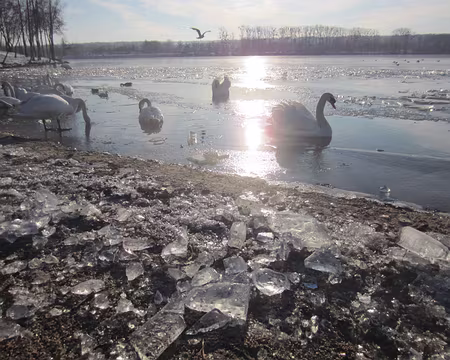 PXL023 les étangs de la base de loisirs de Cergy