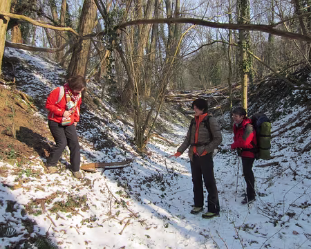 PXL050 vallée de Cléry