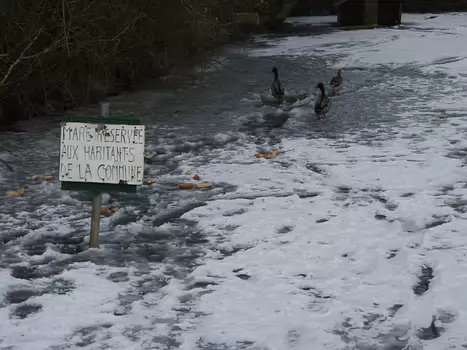 2012-02 Saint Remy les Chevreuse
