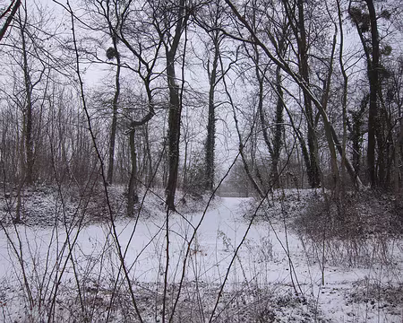 PXL004 Parc de St-Cloud sous la neige