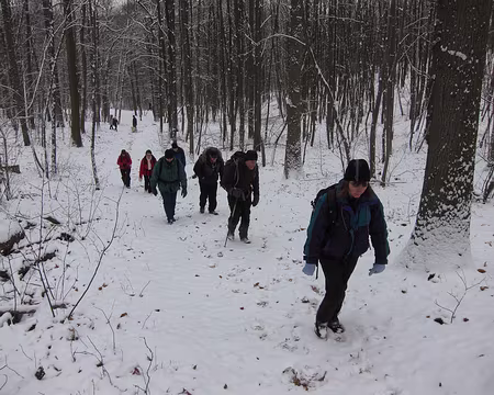 PXL009 Forêt de la Malmaison