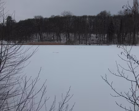 PXL011 Étang de St-Cucufa