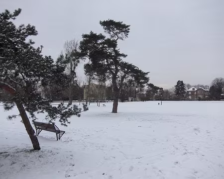 PXL015 La Grande Pelouse