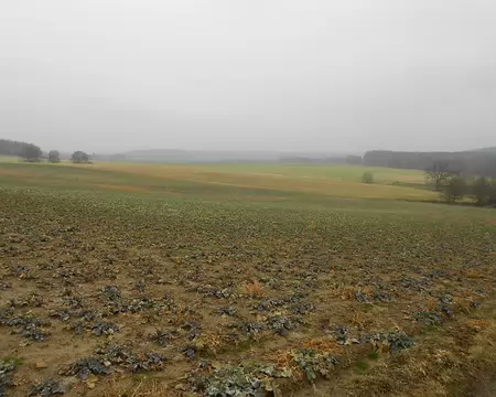 PXL018 campagne picarde