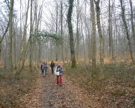 PXL029 Forêt de St-Gobain, massif forestier de 9 000 ha à 10 km à l'ouest de Laon