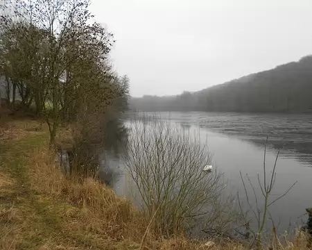 PXL046 Etang St-Hubert à Prémontré