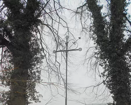 PXL051 Croix entre ces 4 magnifiques arbres