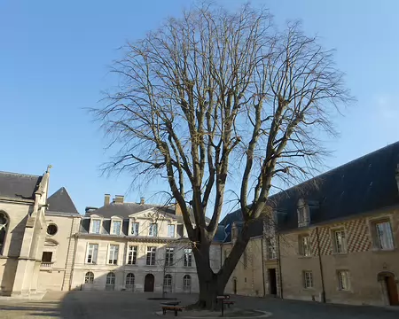 PXL032 Musée d'Art Moderne installé dans l'ancien Palais Episcopal