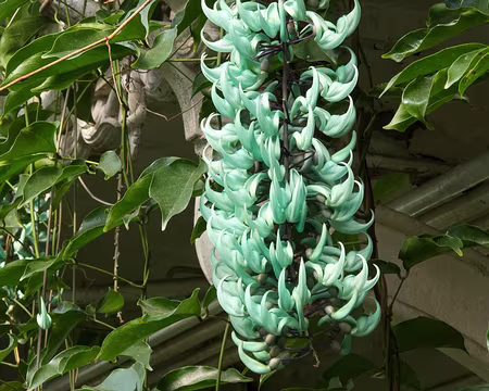 CK12RW52_052 On dirait du faux