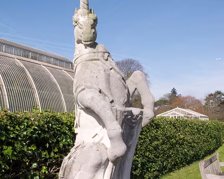 CK12RW52_059 Licorne d'Ecosse au jardin depuis 1956