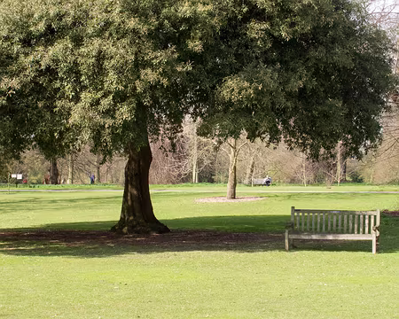 CK12RW52_080 Quietude au Kew