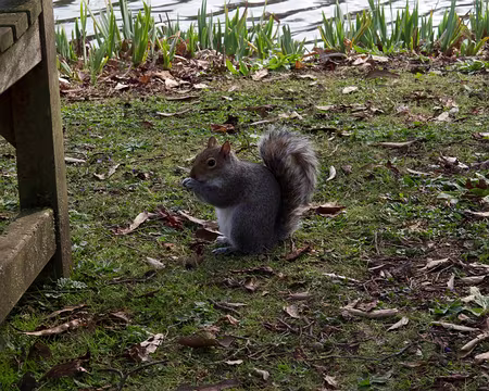 CK12RW52_081 Caisse d'Epargne