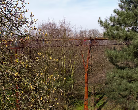 CK12RW52_084 Xstrata Treetop Walkway