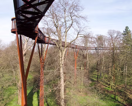 CK12RW52_085 Xstrata Treetop Walkway