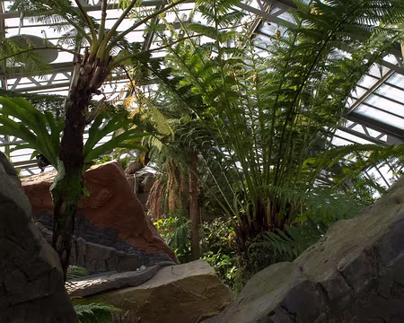 CK12RW52_087 Evolution House