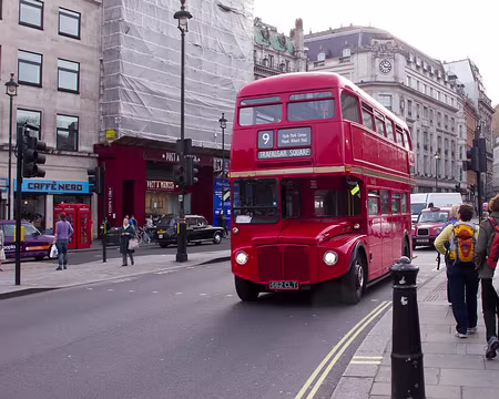 CK12RW52_095 Double decker