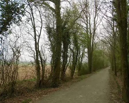 PXL037 Randonnée sur la Voie verte...