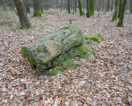 PXL054 Pierre des Druides...