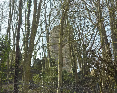 PXL005 Château de Monrfort l'Amaury datant du XIè siècle, Tour Anne de Bretagne