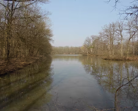 PXL013 Etang de la Plaine