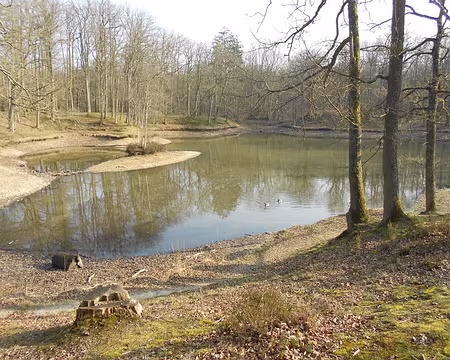 PXL023 Mares de Vilpert