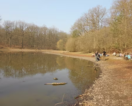 PXL034 Petit Etang Neuf