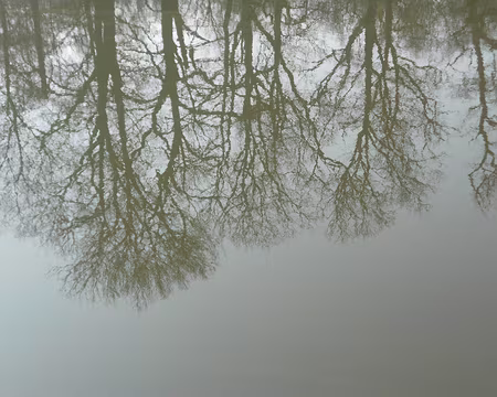 PXL035 Reflets dans le Petit Etang Neuf