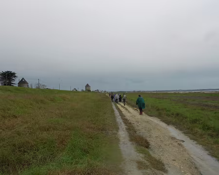 PXL017 anciens moulins à Hirel