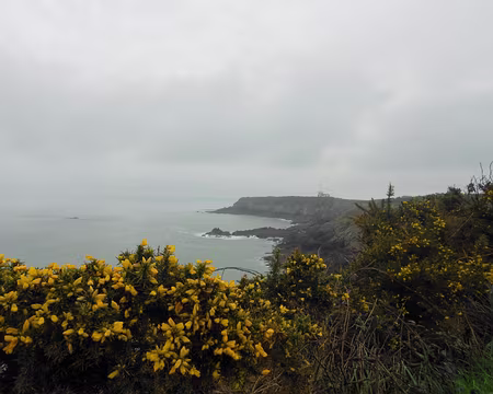 PXL066 La Pointe du Grouin
