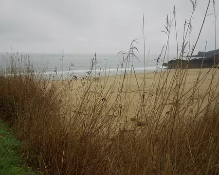 PXL068 Plage du Saussaye