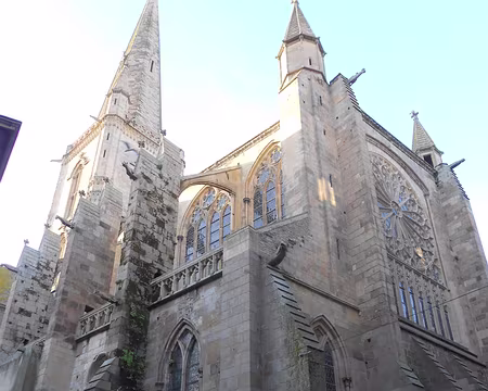 PXL101 Cathédrale Saint-Vincent, XII-XIIIè s., de style roman et gothique