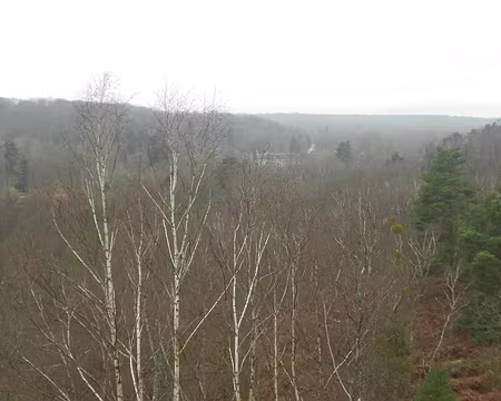 PXL016 Abbaye des Vaux de Cernay dans le lointain