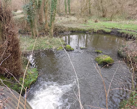 PXL023 Ru des Vaux de Cernay se jetant dans l'Yvette à Dampierre