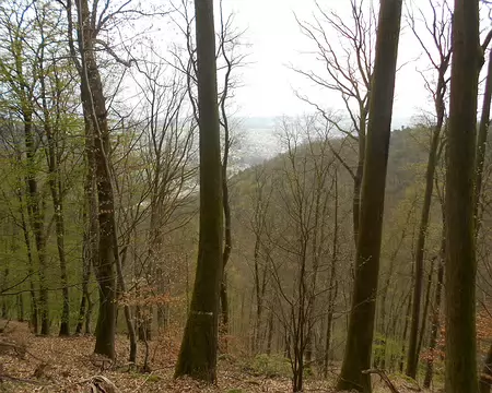 PXL008 Niederbronn