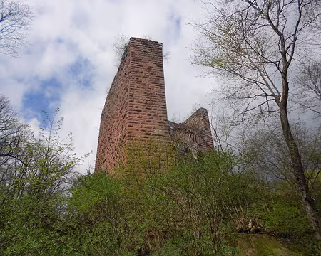 PXL009 Château de Wasenbourg