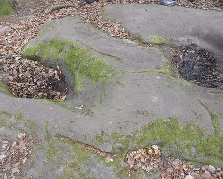 PXL014 Pierre à cupules (ou à bassins)