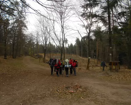 PXL016 Kreuztannen (alt. 448 m)