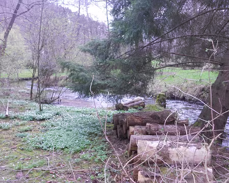 PXL034 Wineckerthal (alt. 222 m)