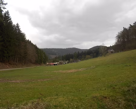 PXL035 Vallon de Gruenenthal alt. 236 m)