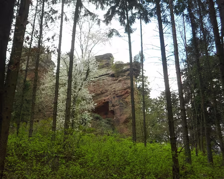 PXL036 Château du Vieux Windstein