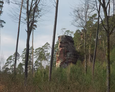 PXL044 Rocher Gabelfels