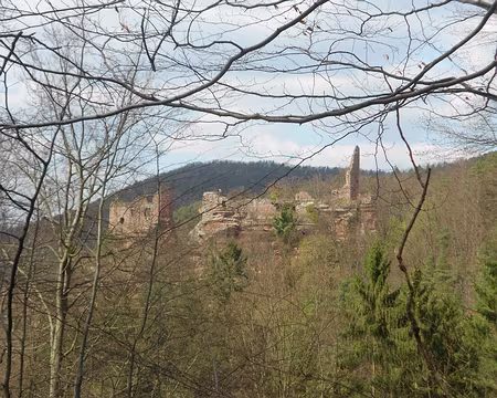 PXL059 Château de Wasigenstein