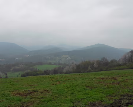 PXL101 Au fond, l'Allemagne