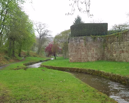 PXL103 La Lauter à Wissembourg (alt. 133 m)