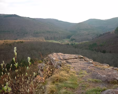 PXL014 Idéal poste de guet