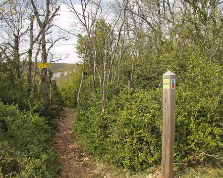 PXL065 encore un délicat