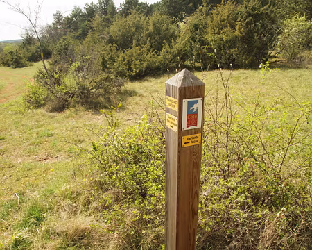 PXL086 un très délicat