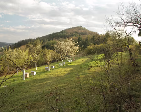 PXL118 A la recherche du bivouac