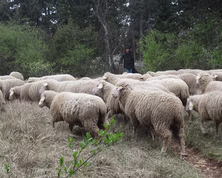 PXL016 ambiance du causse