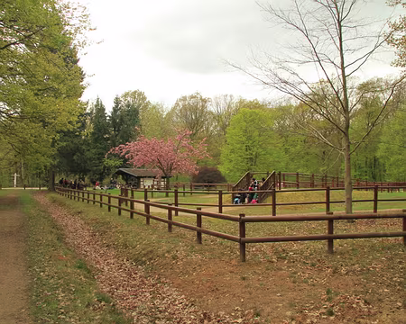 PXL008 Le grillon, que l'on a pas entendu durant le pique-nique ...